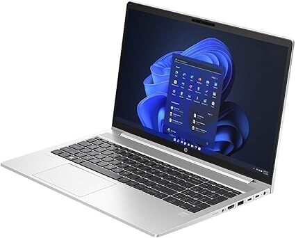 HP ProBook 450 G10 - DOS - Pike Silver